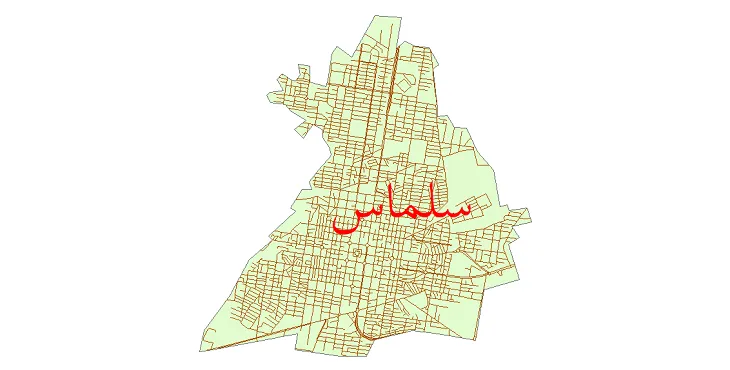 جدیدترین نقشه شیپ فایل شبکه معابر شهر سلماس + pdf